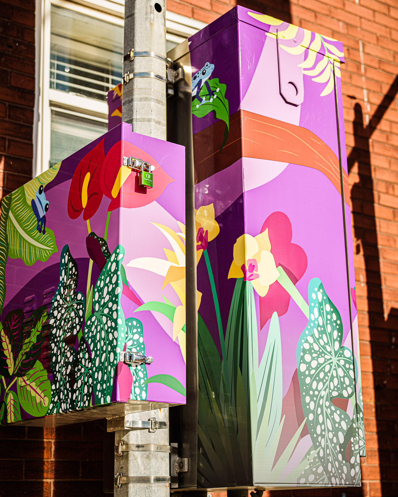 Under Wraps Downtown Acton BIA